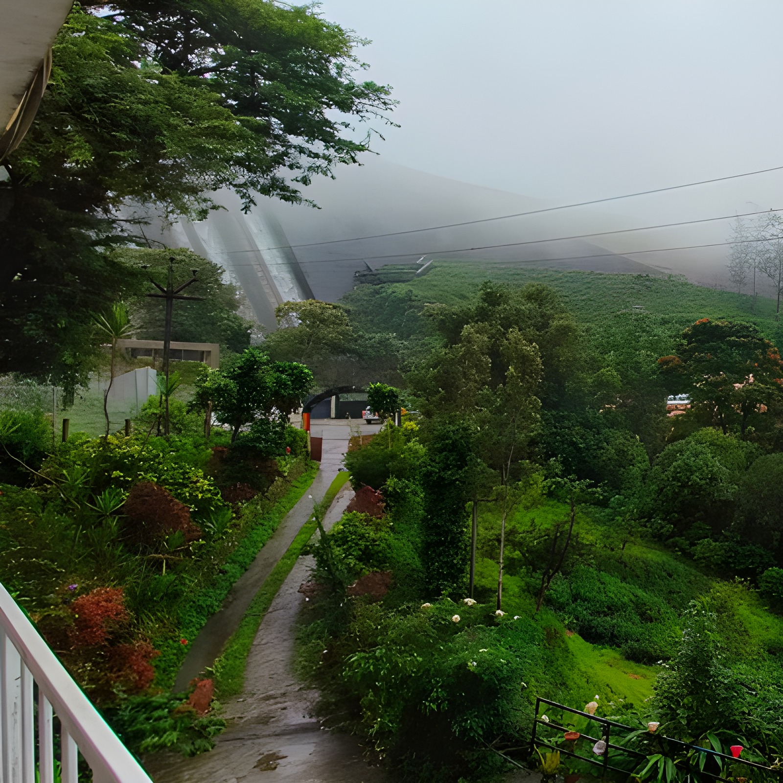 The-Paradise-View-Main-Image